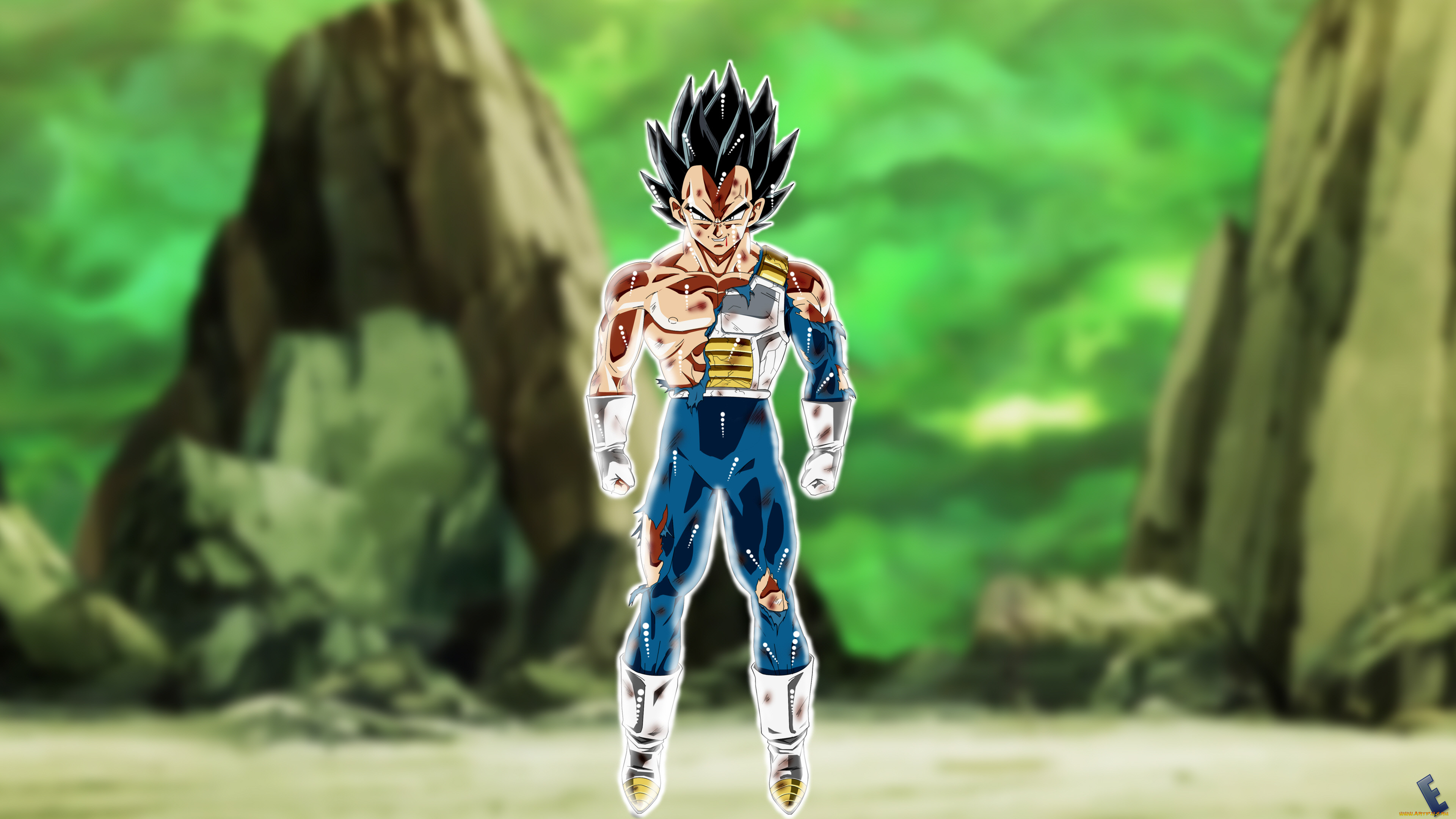 , dragon ball, 